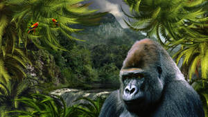 Get Up Close To A Beautiful Gorilla With These Wallpapers. Wallpaper