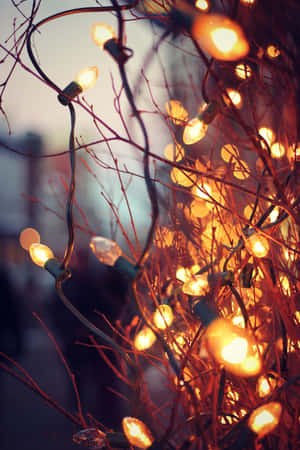 Get Your Hands On The Cozy And Stylish Iphone Wallpaper