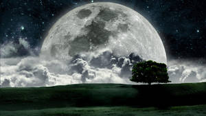 Giant Beautiful Moon Fantasy Wallpaper