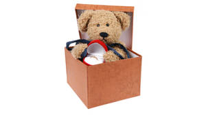 Gift Box Will You Marry Me Teddy Bear Wallpaper