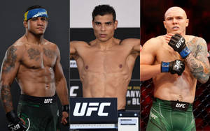 Gilbert Burns, Paulo Costa, And Marvin Vettori Wallpaper