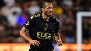 Giorgio Chiellini Los Angeles Football Club Running Wallpaper