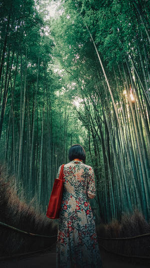 Girl In A Bamboo Forest Iphone Wallpaper
