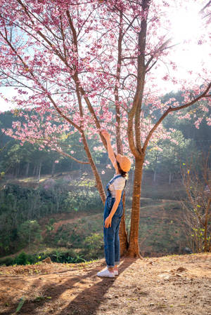 Girl Standing Under Japanese Sakura Wallpaper