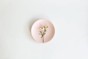 Girly Pink Aesthetic Flower Plate Wallpaper