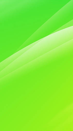 Gleaming Light Green Plain Wallpaper