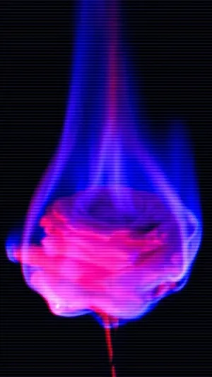 Glitch Rose And Fire Wallpaper