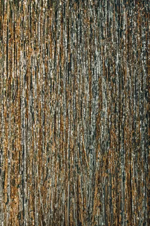 Glitter Foil Curtain Wallpaper