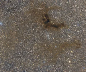 Glitter Sand Wallpaper