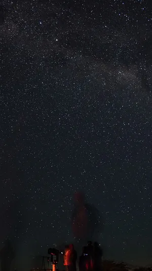 Glittery And Dark Starry Night Sky Wallpaper