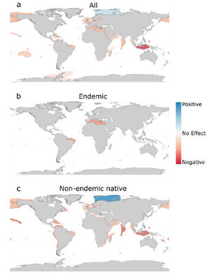 Global Endemic Infographic Wallpaper