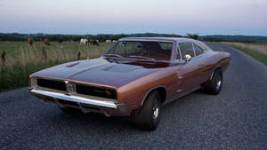 Glossy 1969 Dodge Charger Wallpaper