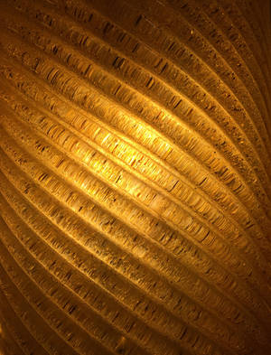 Glowing Gold Spiral Wallpaper