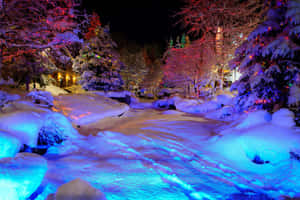 Glowing Winter Wonderland Desktop Wallpaper