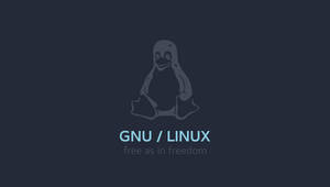 Gnu Linux Dark Tux Hd Wallpaper