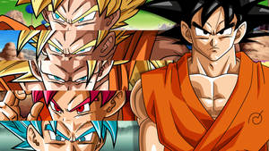 Goku Dragon Ball Super Different Forms Wallpaper