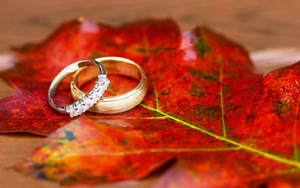 Gold Wedding Rings On Red Leaf Wallpaper