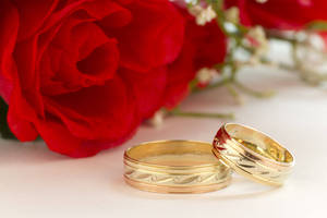 Gold Wedding Rings Red Rose Wallpaper
