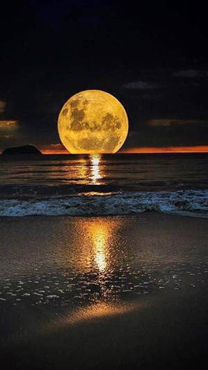 Golden Beautiful Moon In The Sea Wallpaper