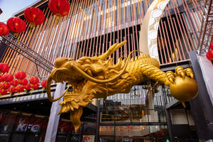 Golden Chinese Dragon Wallpaper