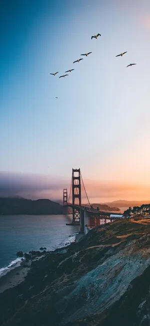 Golden Gate Bridge Tumblr Photography Iphone Wallpaper