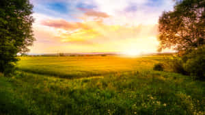 Golden Hour Sunrise Over Fields.jpg Wallpaper