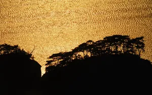 Golden Sky Glitter Wallpaper