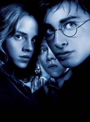 Golden Trio Close Up Blue Wallpaper