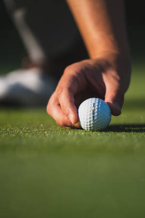 Golf, Ball, Hand, Fingers, Grass, Sport Wallpaper