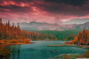 Good Morning ❤ 4k Hd Desktop Wallpaper For 4k Ultra Hd Tv • Dual Wallpaper