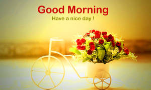 Good Morning Image Photo Wallpaper Picture Free Download Wallpaper