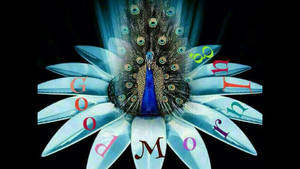 Good Morning Image, Pics, Photo, Hd Wallpaper, Wishes. Good Wallpaper