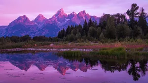 Google Landscape, Where Dreams Come True Wallpaper