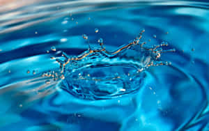 Google Pixel Water Drop Wallpaper