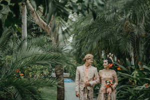 Gorgeous Groom And Bride Wallpaper