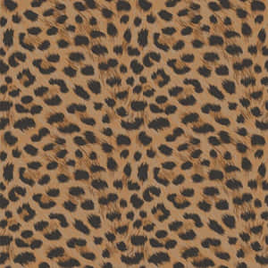 Gorgeous Leopard Pattern Wallpaper