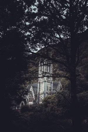 Gothic Church Forest Wallpaper