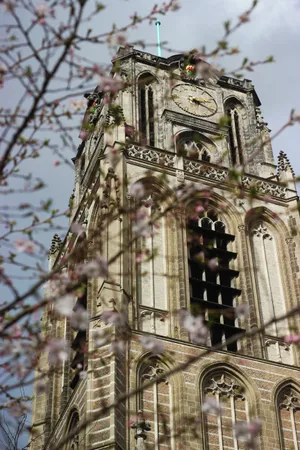 Gothic Structure Photography Wallpaper