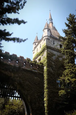 Gothic Style Entrance Wallpaper