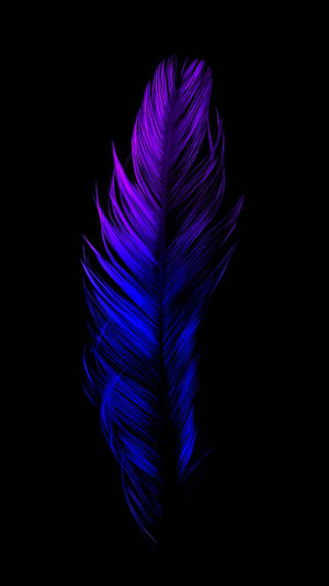 Gradient Blue Purple Feather Samsung Full Hd Wallpaper