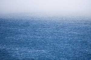 Gradient Blue Sea
