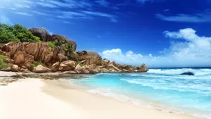 Grand Anse White Beach Wallpaper