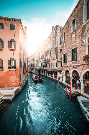 Rialto bridge in Venice Wall Mural Wallpaper | Canvas Art Rocks