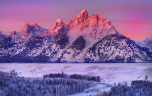 Grand Teton National Park Golden Hour Wallpaper