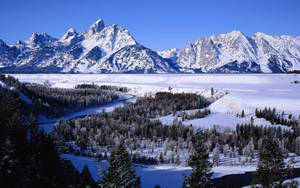 Grand Teton National Park Snowy Day Wallpaper