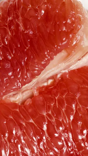 Grapefruit Iphone 11 Pro 4k Wallpaper