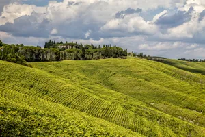 Grass Field Hill Wallpaper
