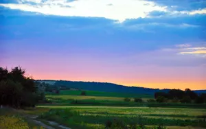 Grass Field Mountain Sunset Wallpaper