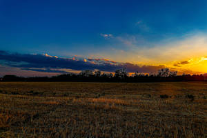 Grass Field Sunrise Nature Wallpaper