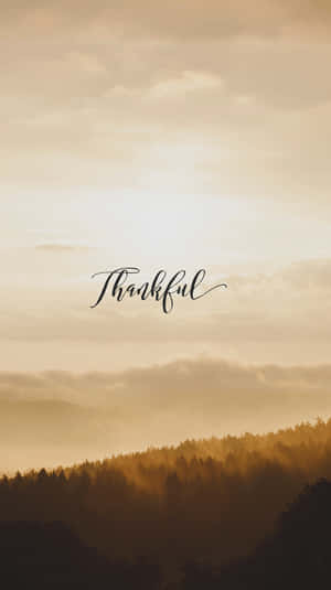 Gratitude Gold Sunset Wallpaper